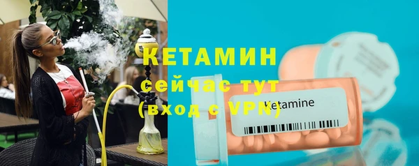 крисы Касимов