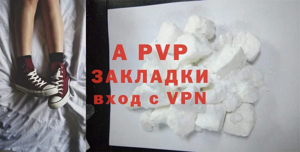 крисы Касимов