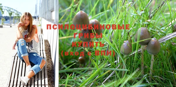 МДМА Карпинск