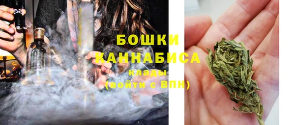 крисы Касимов