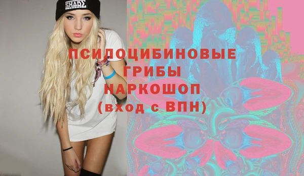 крисы Касимов